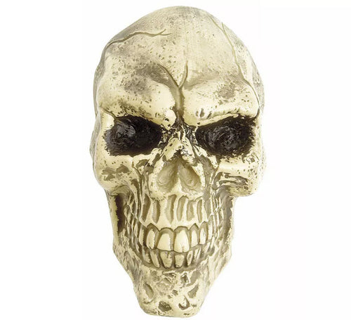 Adorno para Pared de Calavera de 25 cm