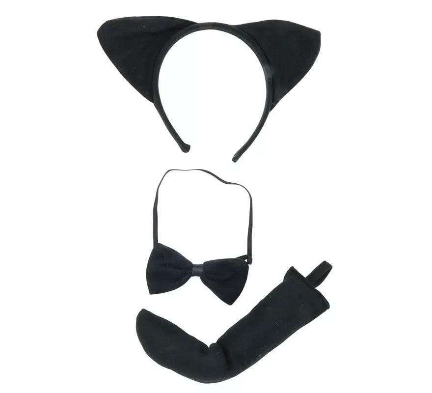 Conjunto de gatita
