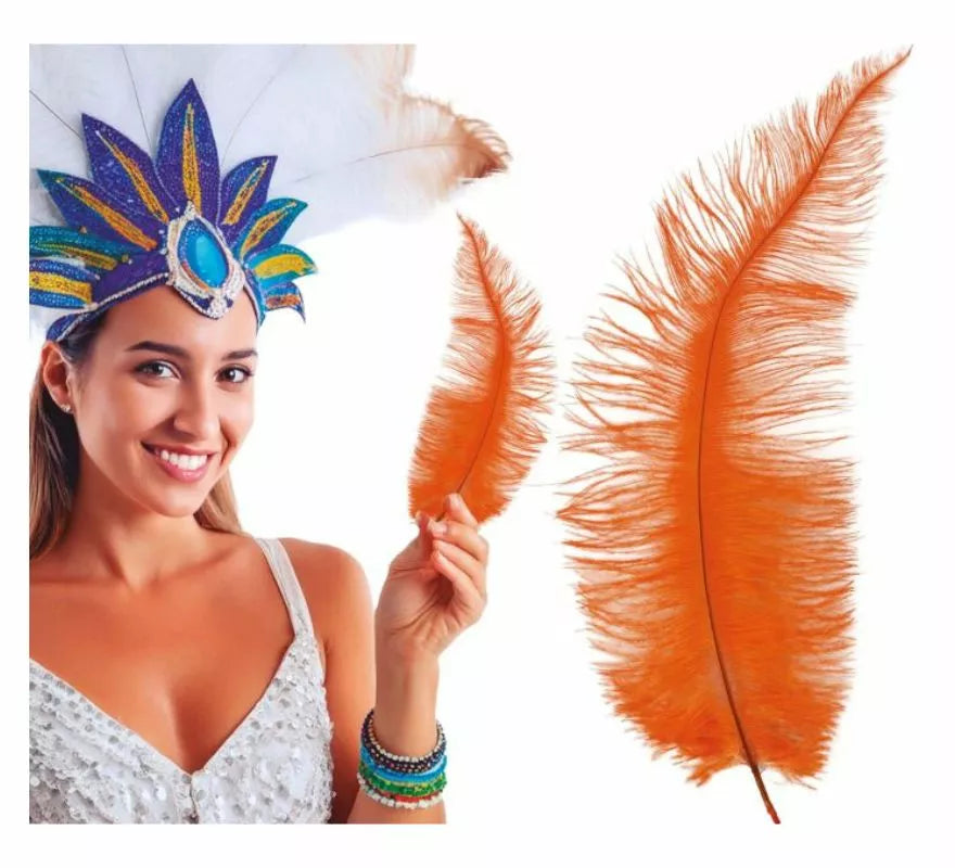 Translation missing: it.Pluma de Avestruz Grande en varios colores 40 cm